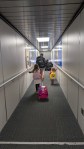 An adult male wearing a backpack walks down a jetway with two young children with backpacks following him
